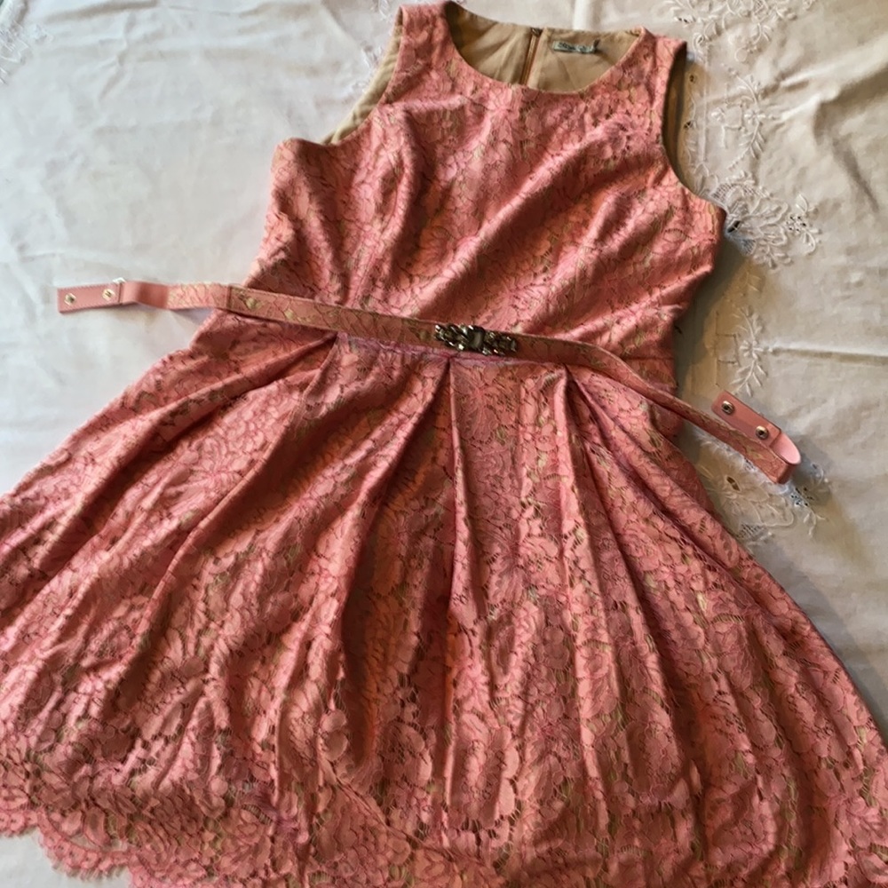 Eliza J Belted Lace Fit & Flare Dress 16